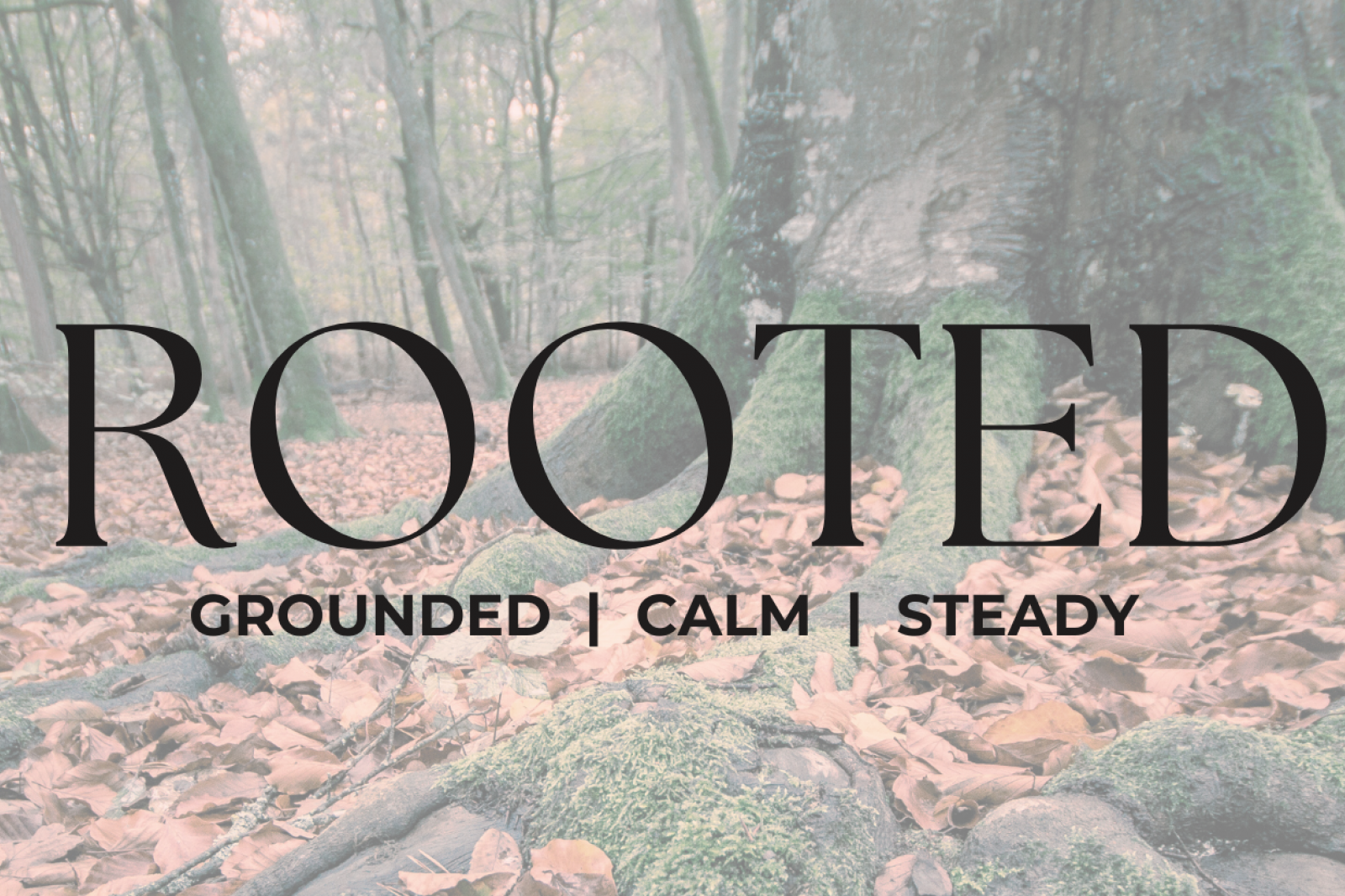 Copy Of Rooted Fb Cover 1