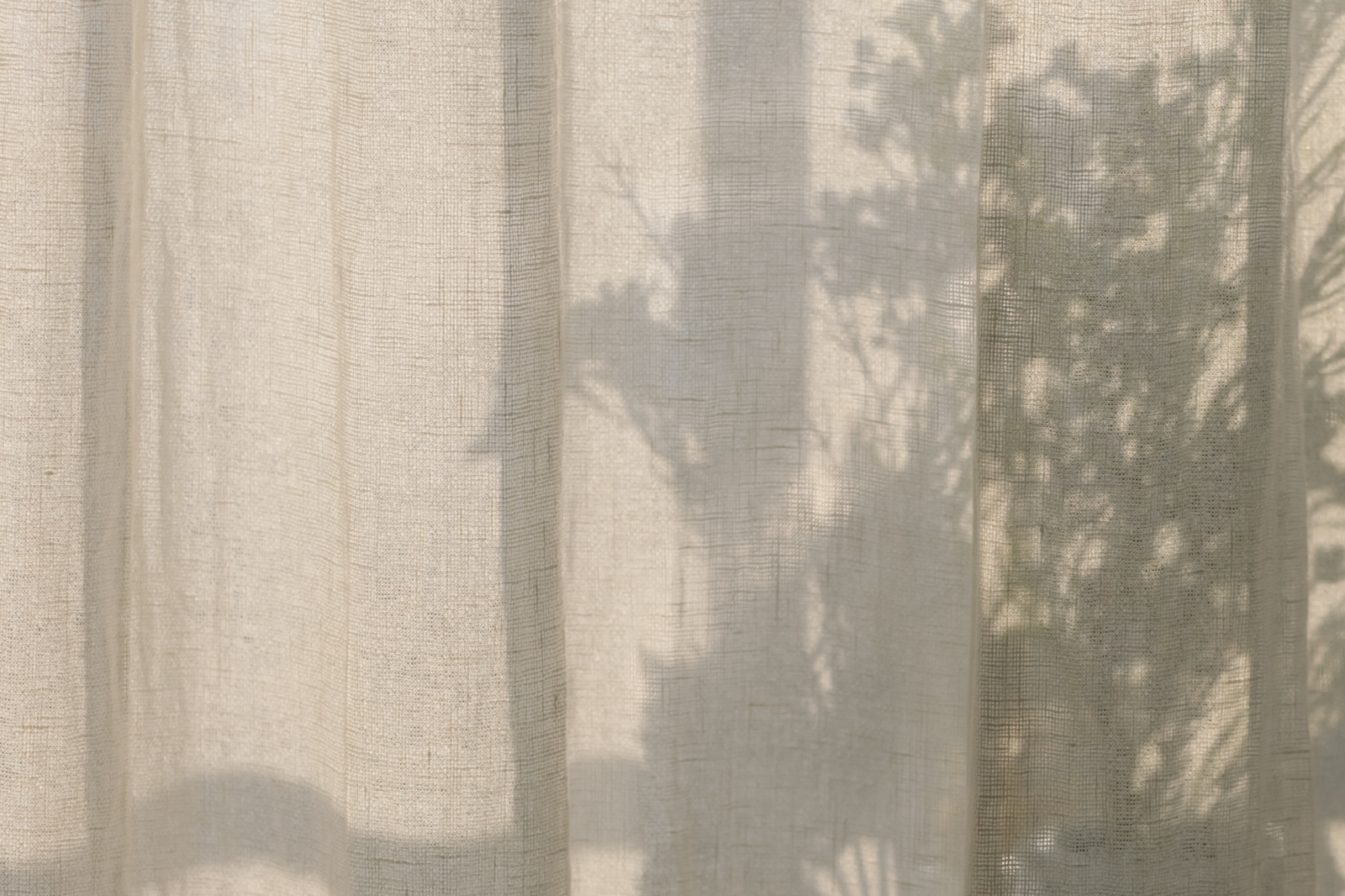 Untitled design 10