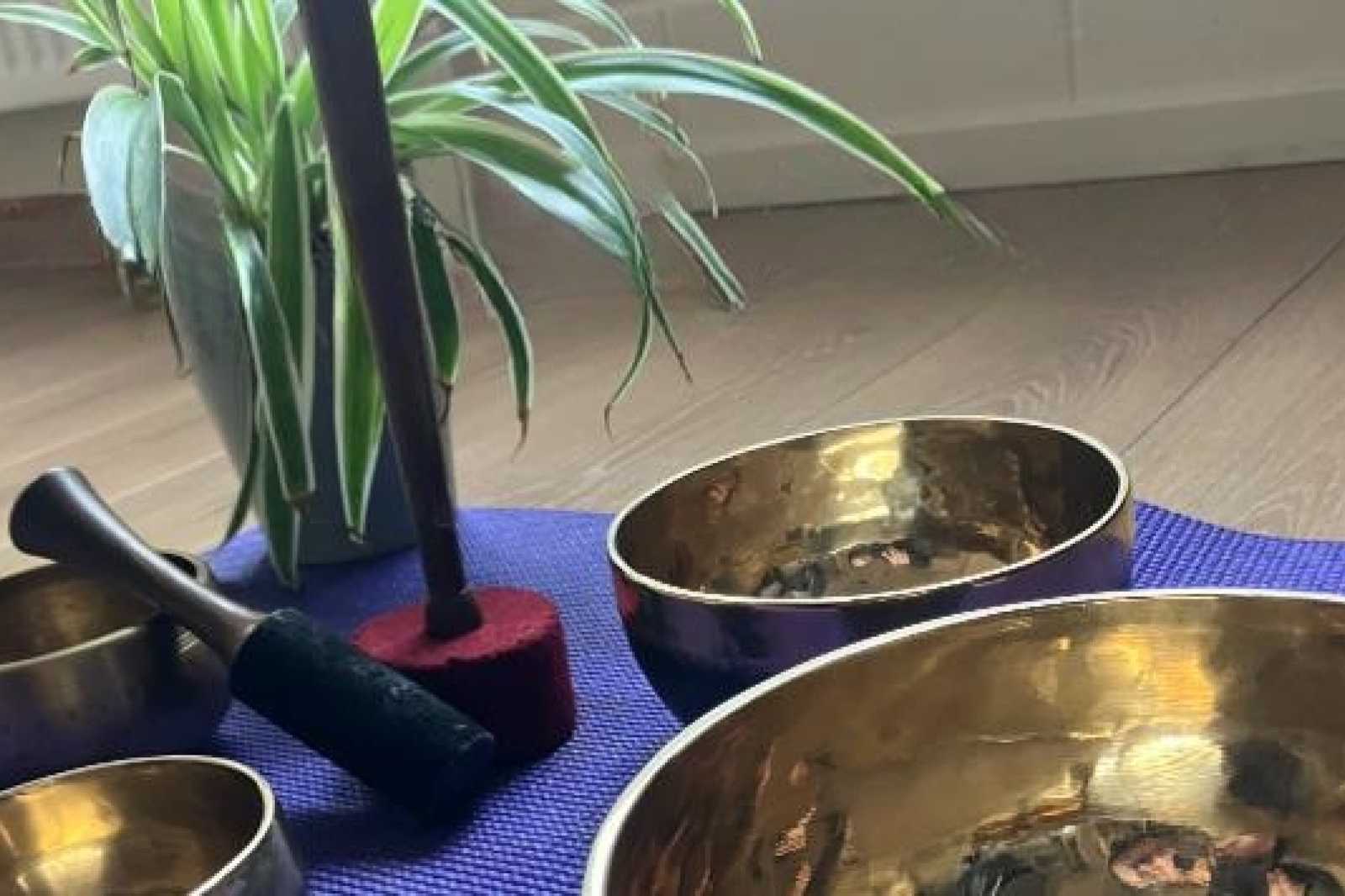 Cathy sunday restore