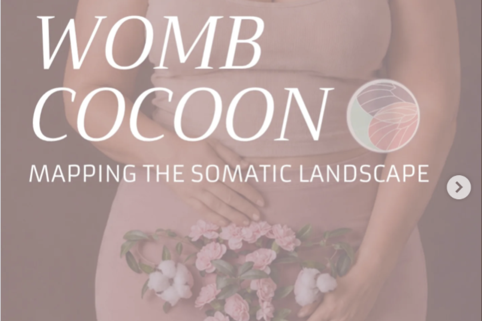 Womb coccon
