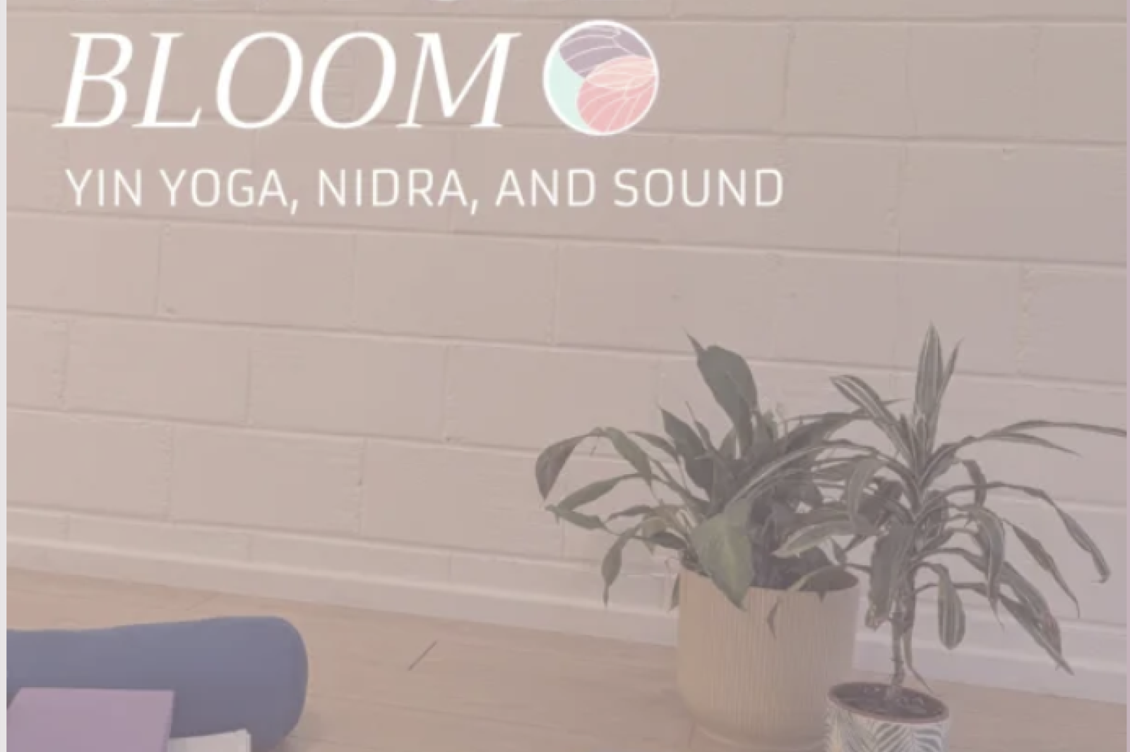 Yin full bloom
