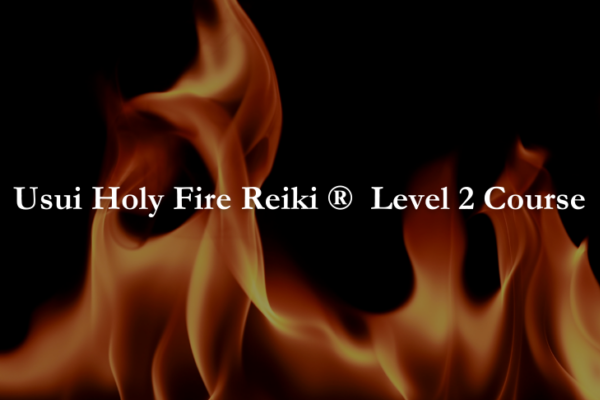 Holy Fire MV Covers Debi Barr