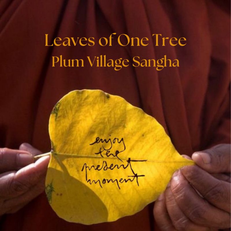 Leaves Of One Tree Plum Village Sangha