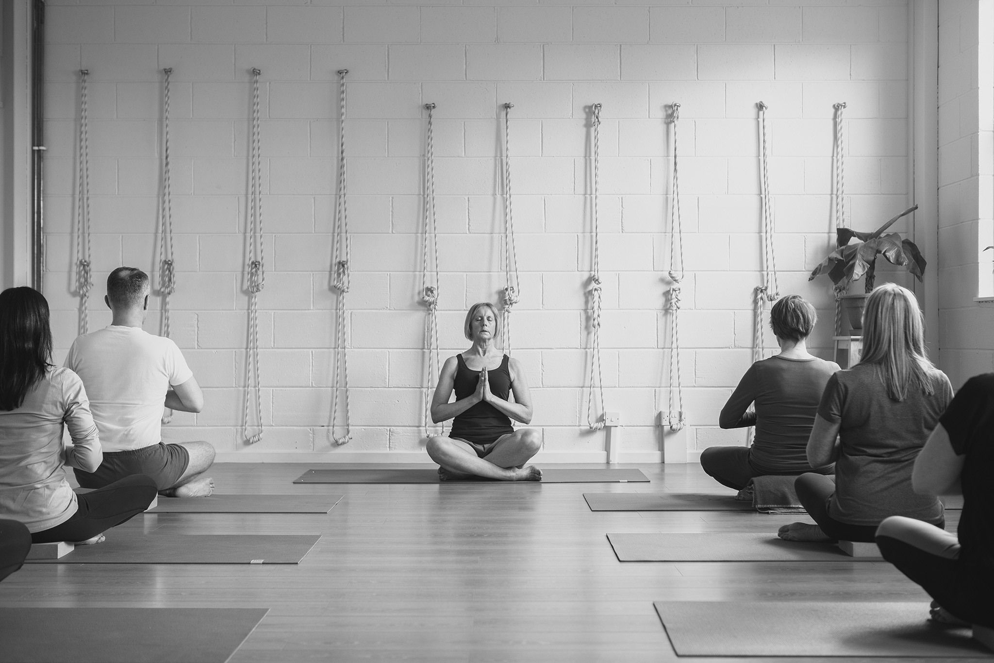 Why try Iyengar yoga? a description of Iyengar yoga at Maitri - Maitri  Studio Belfast